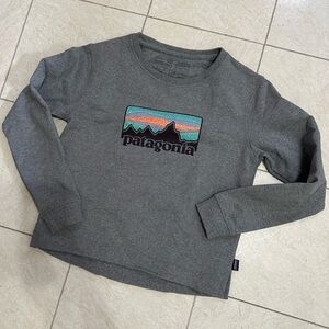Patagonia sweatshirt
